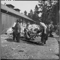 Dans le camp de concentration de Dachau libéré, des cadavres de déportés sont déposés sur des brancards avant d'être chargés sur des charrettes pour être inhumés.