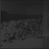 Amoncellement de cadavres de déportés dans une des pièces du grand crématorium du camp de concentration de Dachau libéré.