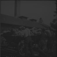 Dans le camp de concentration, des cadavres de déportés sont chargés sur des charrettes pour être inhumés.
