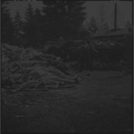 Dans le camp de concentration, des cadavres de déportés sont chargés sur des charrettes pour être inhumés par des civils allemands probablement réquisitionnés.