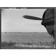 Des automitrailleuses défilent à l'issue d'une prise d'armes de la 2e division blindée (2e DB) sur un aérodrome au nord d'Augsbourg.