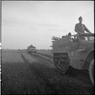 Défilé de half-tracks du Régiment de marche du Tchad (RMT) à l'issue d'une prise d'armes de la 2e division blindée (2e DB) près d'Augsbourg.