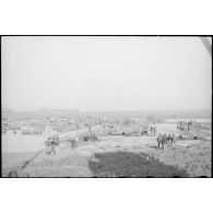 Des bombardiers en piqué Douglas SBD-5 Dauntless de flottilles de l'aéronautique navale sont parqués sur la base de Cognac.
