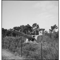 Tourelle double de canons de 340 mm d'artillerie de défense côtière au cap Cépet, à Saint-Mandrier.