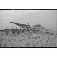 Canonniers servants d'un canon de 75 mm antiaérien camouflé, affecté à une batterie d'artillerie de défense côtière de la Marine nationale sur le littoral.