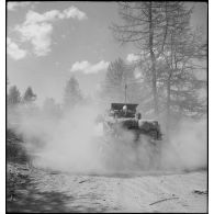 Char léger Stuart M5 A1 du 1er régiment de fusiliers marins (RFM).