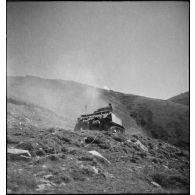 Char léger Stuart M5 A1 du 1er régiment de fusiliers marins (RFM).