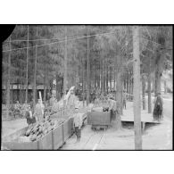 Parc d’Offémont : gare de ravitaillement du matériel de tranchées. [légende d’origine]