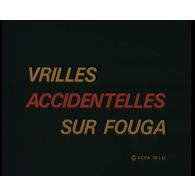 Vrilles accidentelles sur Fouga.