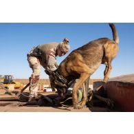 Le caporal-chef Coralyne du commando parachutiste de l'air n°20 (CPA 20) et son chien Pac-man fouillent un véhicule à l'entrée de la base de Niamey, au Niger.