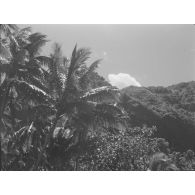 Souvenirs photographiques de Pierre Brandicourt, officier de Marine.