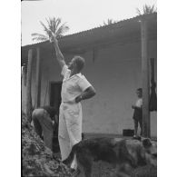 [Portrait d'un homme tenant un projecteur, s.d.].<br>