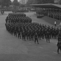 Défilé à pied. Passage du 1er groupe de chasseurs mécanisé (1er GCM) de Reims devant la tribune présidentielle lors de la cérémonie du 14 juillet 1974 sur la place de la Bastille.