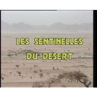 Les sentinelles du désert.