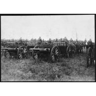 Plan général des troupes polonaises alignées lors de la cérémonie militaire, les soldats sont photographiés de dos
