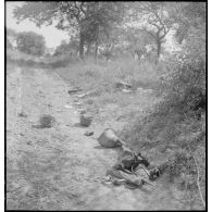 Plan général d'équipements individuels allemands abandonnés sur un chemin près de la route de Laon.