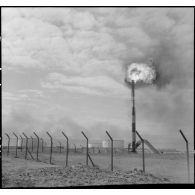 Hassi Messaoud. Torchères.