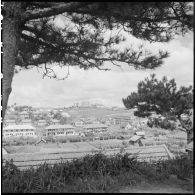 Ville de Dalat et le domaine Sainte-Marie.