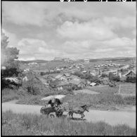 La ville de Dalat et le domaine Sainte-Marie.