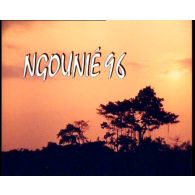 Manoeuvre Ngounié 96.