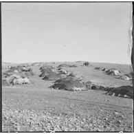 Chantiers de la Défense et Restauration des sols (DRS). Les tentes des nomades manoeuvres travaillant sur les chantiers.