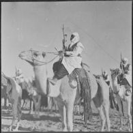 Ouargla. Compagnie méhariste montée pendant la cérémonie.