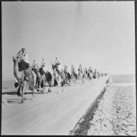 Ouargla. Défilé de la compagnie méhariste montée.