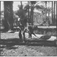 Taghit. Foyer agricole. Différents carrés de semences travaillés par les élèves sous la direction des militaires du contingent.