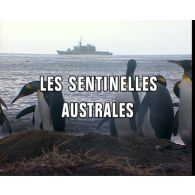 Les sentinelles australes.