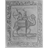 Alger. Musée colonial militaire Franchet d'Espéray. Gravure.