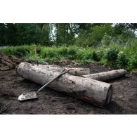 Vue d'une pelle posée sur un tronc d'arbre lors de la création d'une tranchée à Tapa, en Estonie.