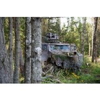 Un marsouin du 2e régiment d'infanterie de marine (RIMa) dissimule son véhicule blindé multi-rôles (VBMR) Griffon en forêt de Tapa, en Estonie.
