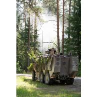 Un véhicule blindé multi-rôles (VBMR) Griffon du 2e régiment d'infanterie de marine (RIMa) tient une position sous les arbres en forêt de Tapa, en Estonie.