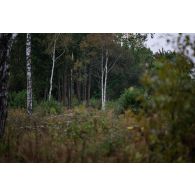 Un tireur d'élite du 2e régiment d'infanterie de marine (RIMa) tient une embuscade en forêt de Saaremaa, en Estonie.