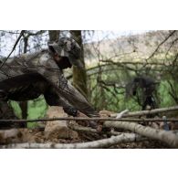 Un soldat du 2e régiment de hussards (RH) construit une cache d'observation en forêt de Ville-sous-la-Ferté.