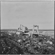 Ouled Zid. Les bulldozers de la Défense et Restauration des sols (DRS) en plein travail.