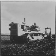 Ouled Zid. Les bulldozers de la Défense et Restauration des sols (DRS) en plein travail.