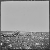 Ouled Zid. Les bulldozers de la Défense et Restauration des sols (DRS) en plein travail.