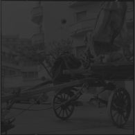 Bab el Oued. Fusillade sur le 2e bataillon du 73e régiment d'infanterie de marine (RIMa). Cadavre d'un homme qui conduisait une charrette.