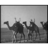 [La traversée Sabang-Djibouti à bord de l'aviso colonial le "Dumont d'Urville", 1934-1936.]