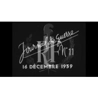 Journal de guerre n°11.