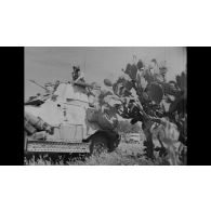 La campagne (ou bataille) de Tunisie.