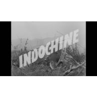 Indochine, novembre 1953 - juin 1954.