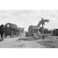 Les véhicules hippomobiles allemands de la 137. infanterie division progressent .