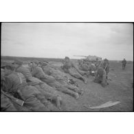 Un Nashorn du schwere Panzer Abteilung 519 tire, protégés par un talus des fantassins et des Panzergrenadier observent l'horizon aux jumelles.