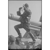 Juché sur un Nashorn du Schwere Panzer Abteilung 519, un colonel (Oberst) semble poser pour le reporter.