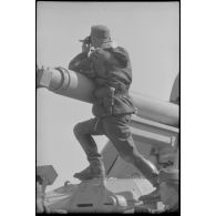 Juché sur un Nashorn du Schwere Panzer Abteilung 519, un colonel (Oberst) semble poser pour le reporter.