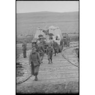 Un Nashorn traverse la passerelle de bois.