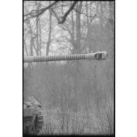 Le tube du canon d'un Nashorn du schwere Panzer Abteilung 519 sur lequel des anneaux de victoires ont été peints.