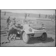 Une Kübelwagen de la Panzer Propaganda Kompanie 697 immatriculé WH-1485025.